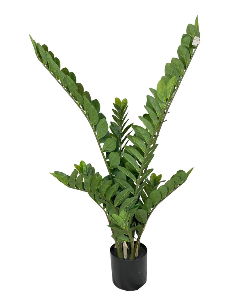 PLANTA DECORATIVA COREL ARBOL ZAMIFOLIA 110CM / 11 RAMAS-0