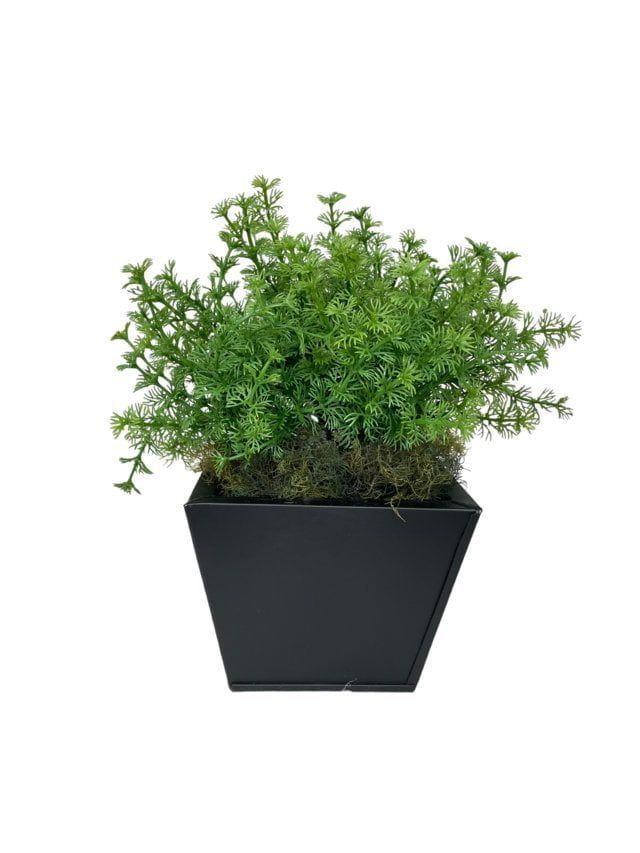 Arreglo De Arbusto Perejil 35cm Artificial | Estilo Natural para Interiores y Vitrinas Verde