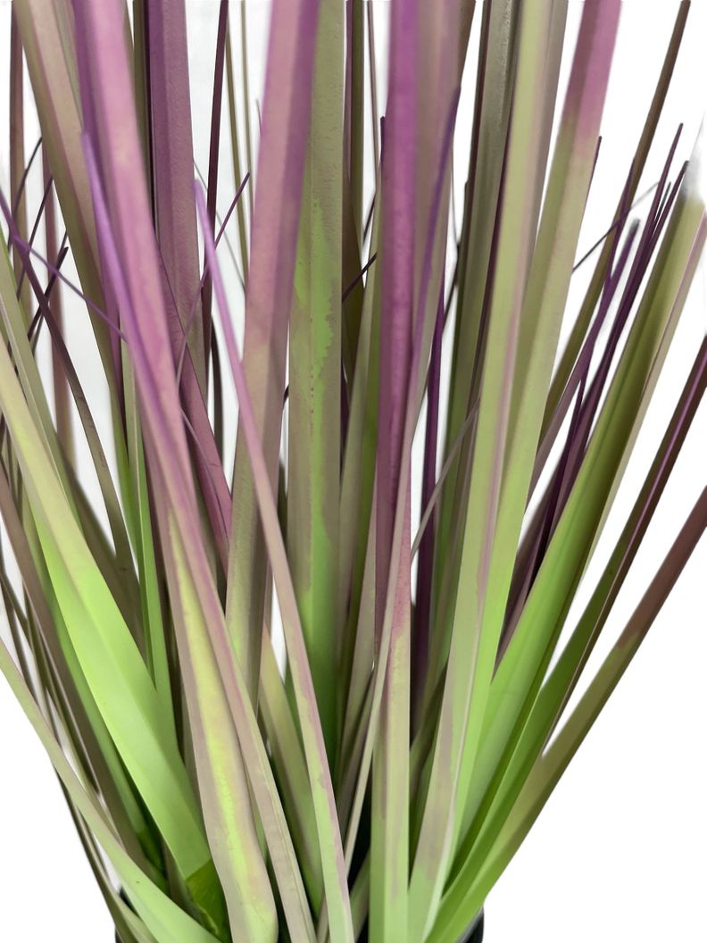PLANTA DECORATIVA COREL PASTO CEBOLLA MORADO 53CM-1