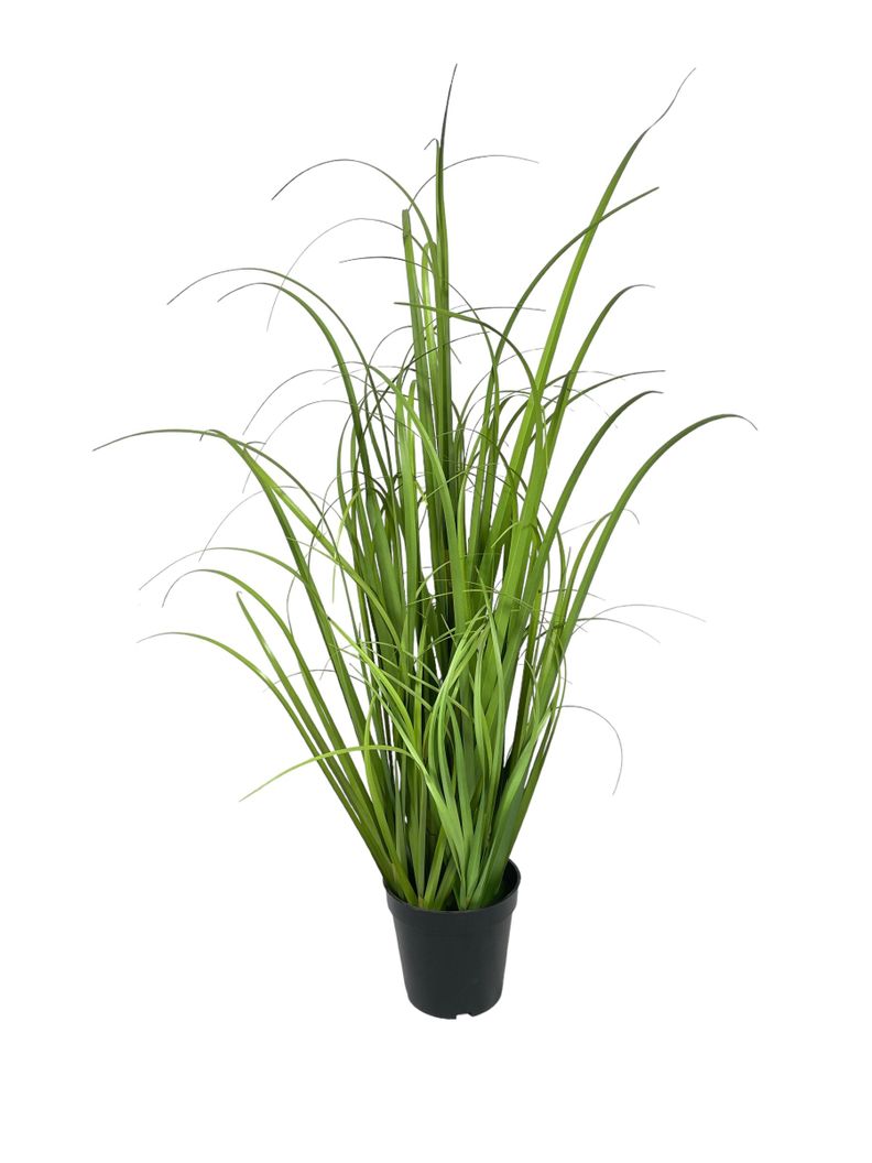 Planta Decorativa Pasto Crespo 91Cm-0
