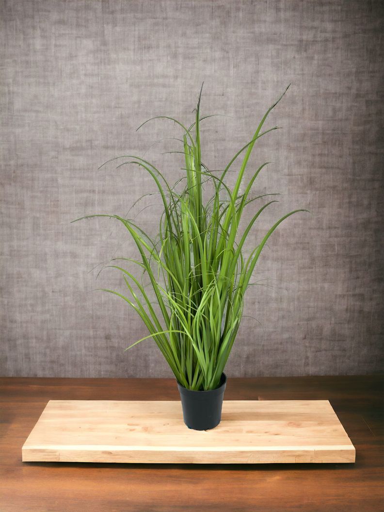 Planta Decorativa Pasto Crespo 91Cm-2