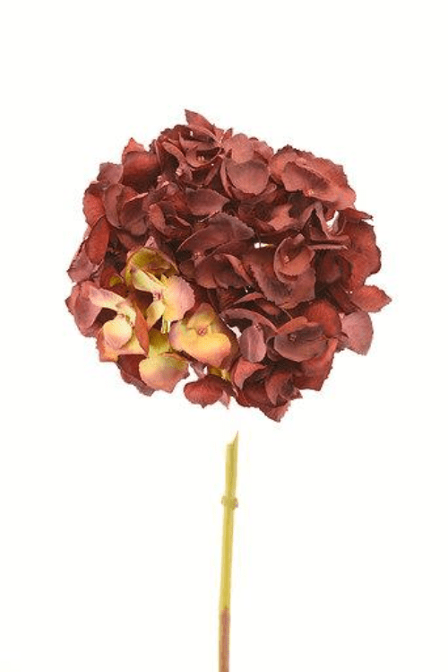 Hortensia Roja 50cm Artificial | Estilo Natural para Interiores y Vitrinas Rojo