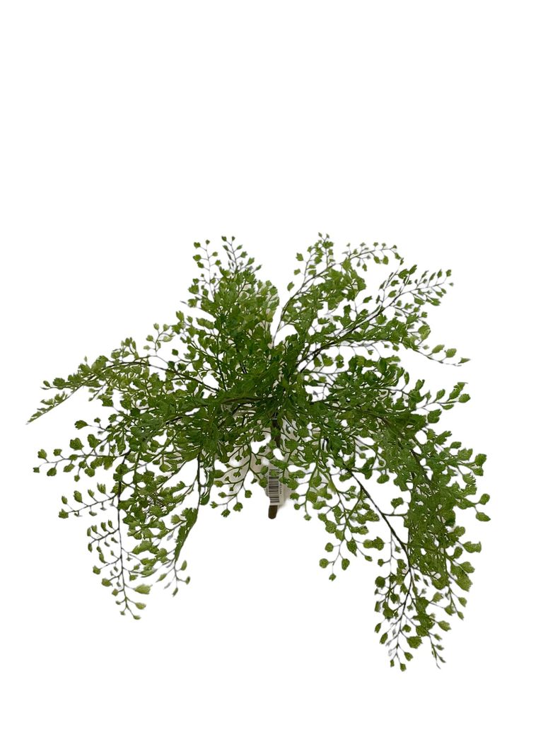 Planta Decorativa Helecho Adriantum 36 Cm-0
