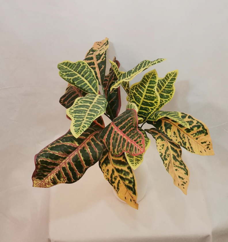 RAMO DE PLANTA COREL CROTON 55CM-1