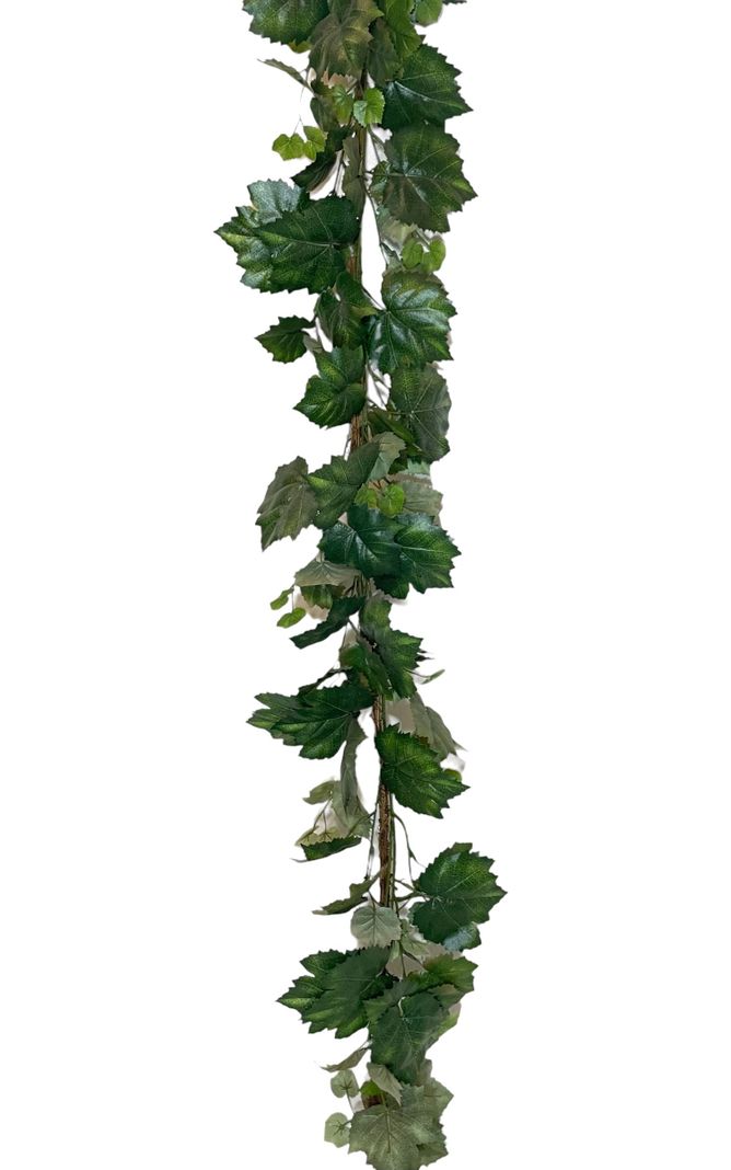 Guirnalda Guia De Parra 180Cm Verde