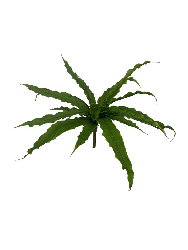 Helecho Nido de Pajaro 22cm Artificial | Estilo Natural para Interiores y Vitrinas Verde