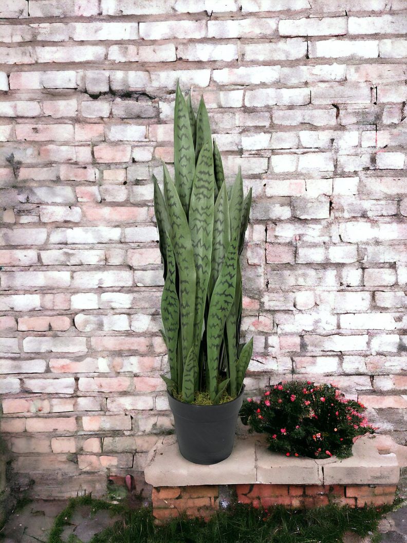 Planta Decorativa Sanseviera Verde 90Cm-2