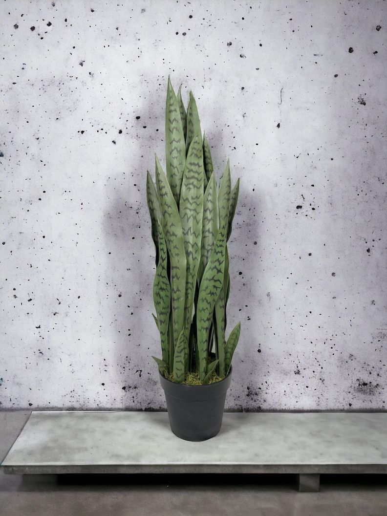 Planta Decorativa Sanseviera Verde 90Cm-3