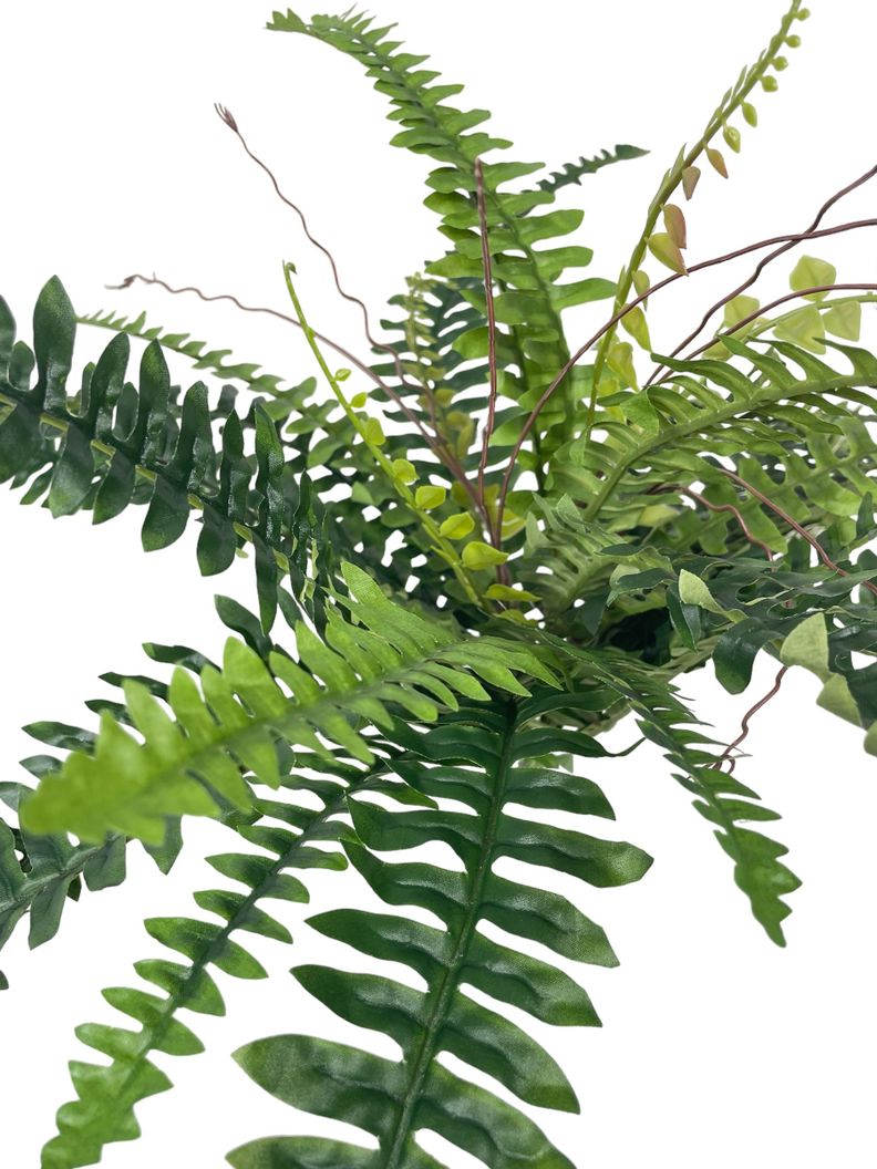 Planta Decorativa Helecho Boston 50Cm-2
