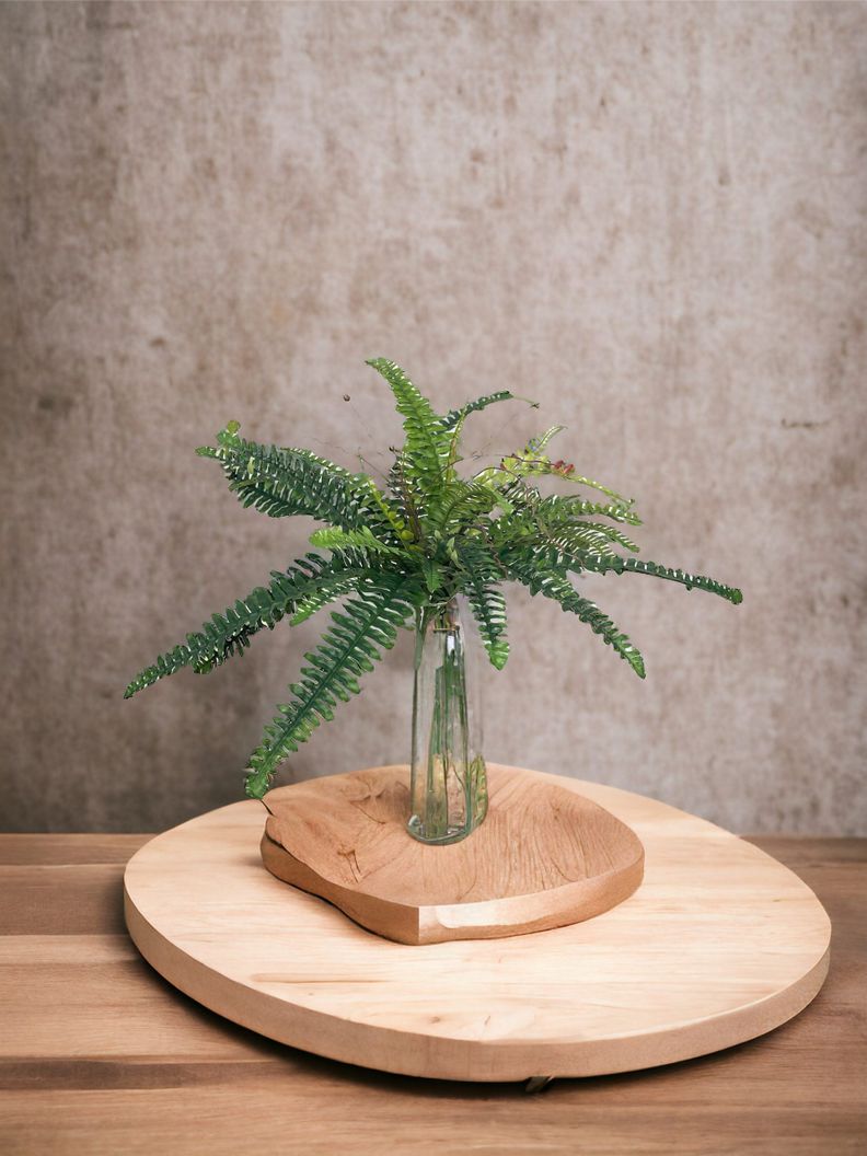 Planta Decorativa Helecho Boston 50Cm-3