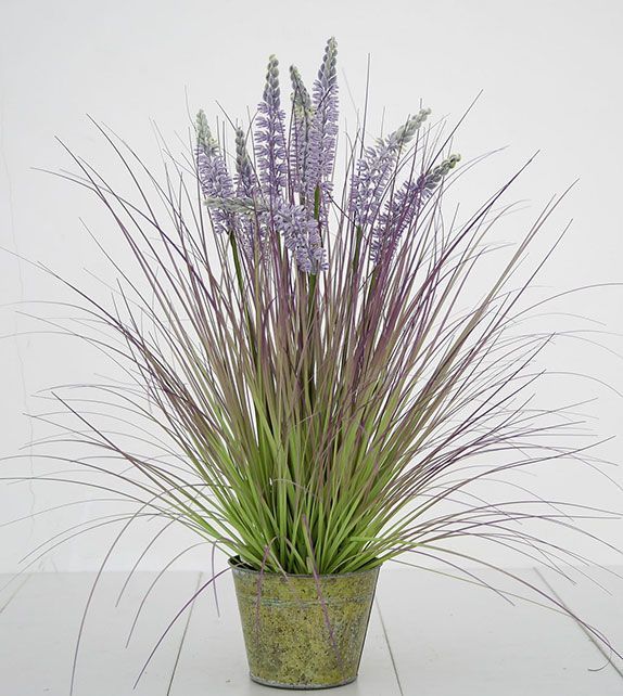 Planta Decorativa Lavanda Pasto Morada  71Cm-0