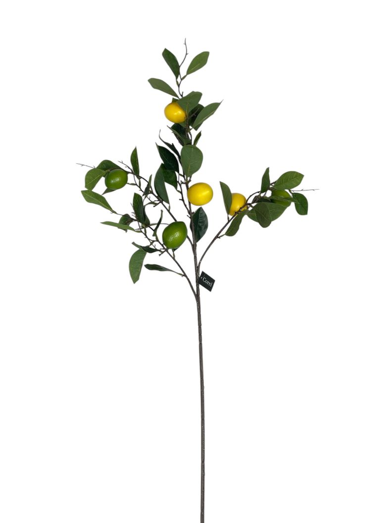 Rama Artificial de Limon Corel 95cm Artificial | Estilo Natural para Interiores y Vitrinas Verde
