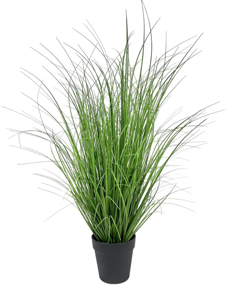 PLANTA DECORATIVA COREL PASTO CON CAIDA VERDE 90CM-0