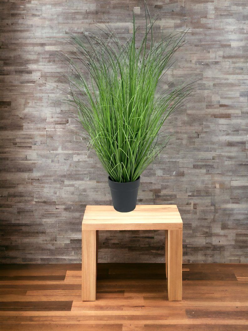 PLANTA DECORATIVA COREL PASTO CON CAIDA VERDE 90CM-1