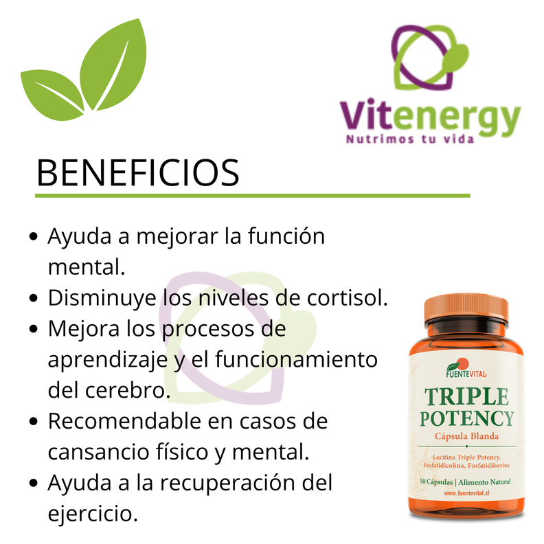 LECITINA TRIPLE POTENCY - FOSFATIDILCOLINA - FOSFATIDILSERINA-1