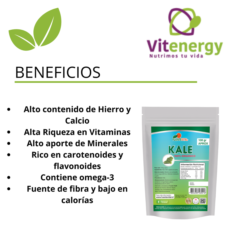 Kale en Polvo Orgánico Micropulverizado 100gr-1