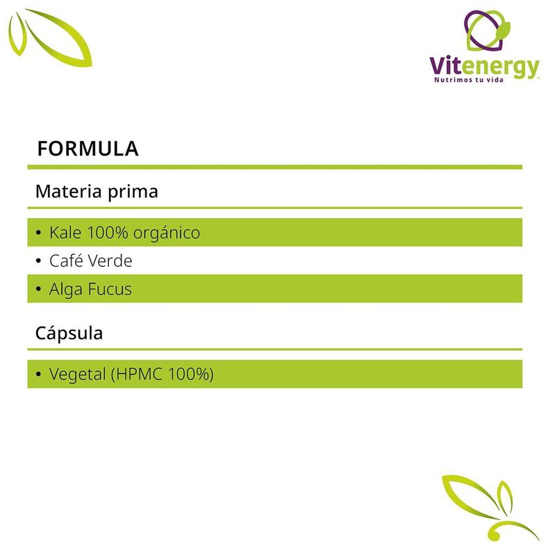 Kale + Té Verde+Alga Fucus-Digestivo Adelgazante natural-4