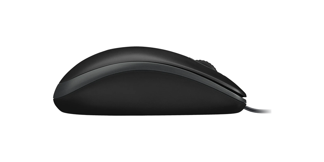 Kit Combo Teclado y Mouse Logitech MK120 USB-3