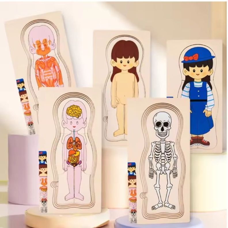Rompecabeza Puzzle Cuerpo Humano ANATOMIA Madera Cod.10019-3