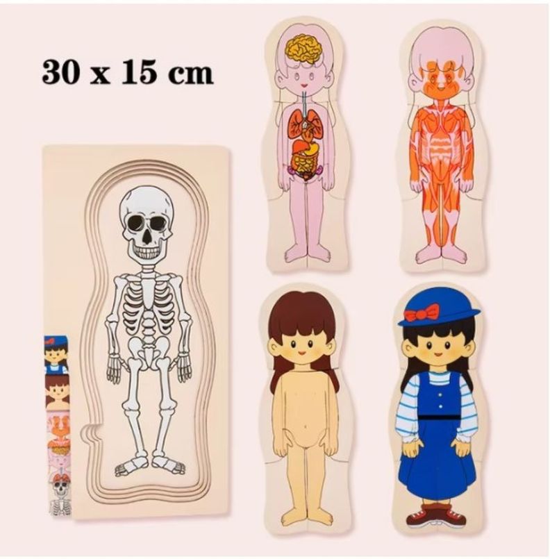 Rompecabeza Puzzle Cuerpo Humano ANATOMIA Madera Cod.10019-5