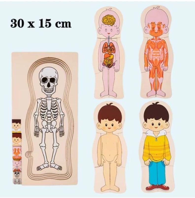 Rompecabeza Puzzle Cuerpo Humano ANATOMIA Madera Cod.10019-6