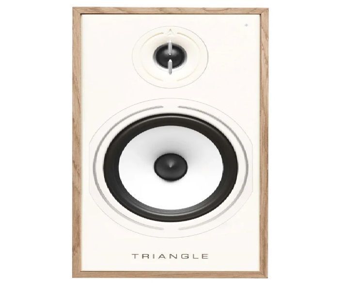 Triangle  Borea BR03 Connect  Parlante Monitor Activo BT loak -2
