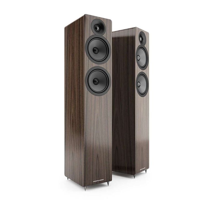 Acoustic Energy AE109 Parlante Columna-0