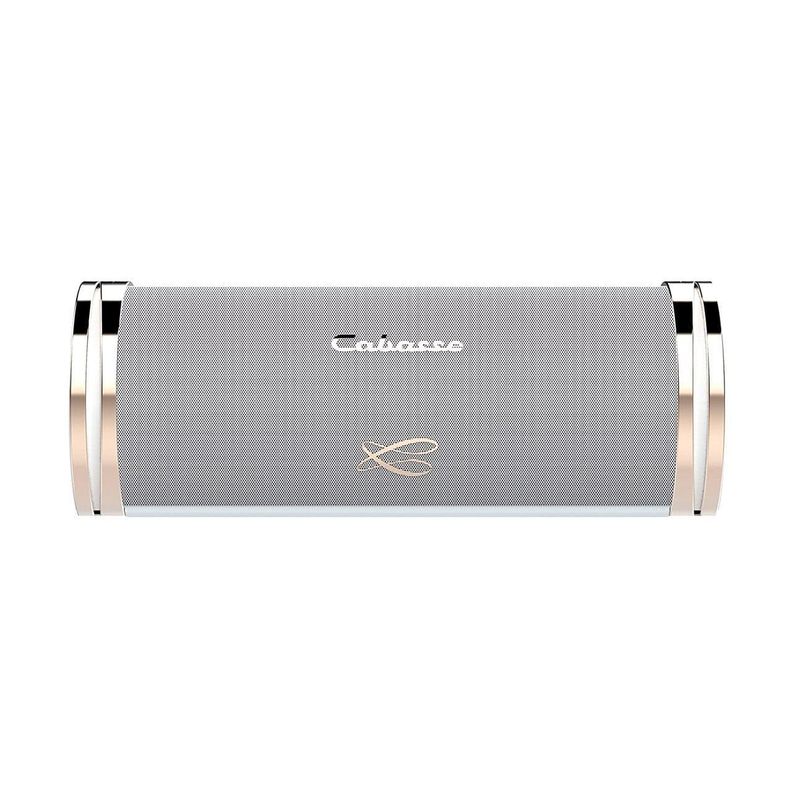 Cabasse  Swell  Parlante inalambrico bluetooth  OPEN BOX-2