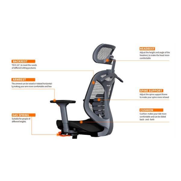 Silla de oficina ergonómica Fitness 2-1