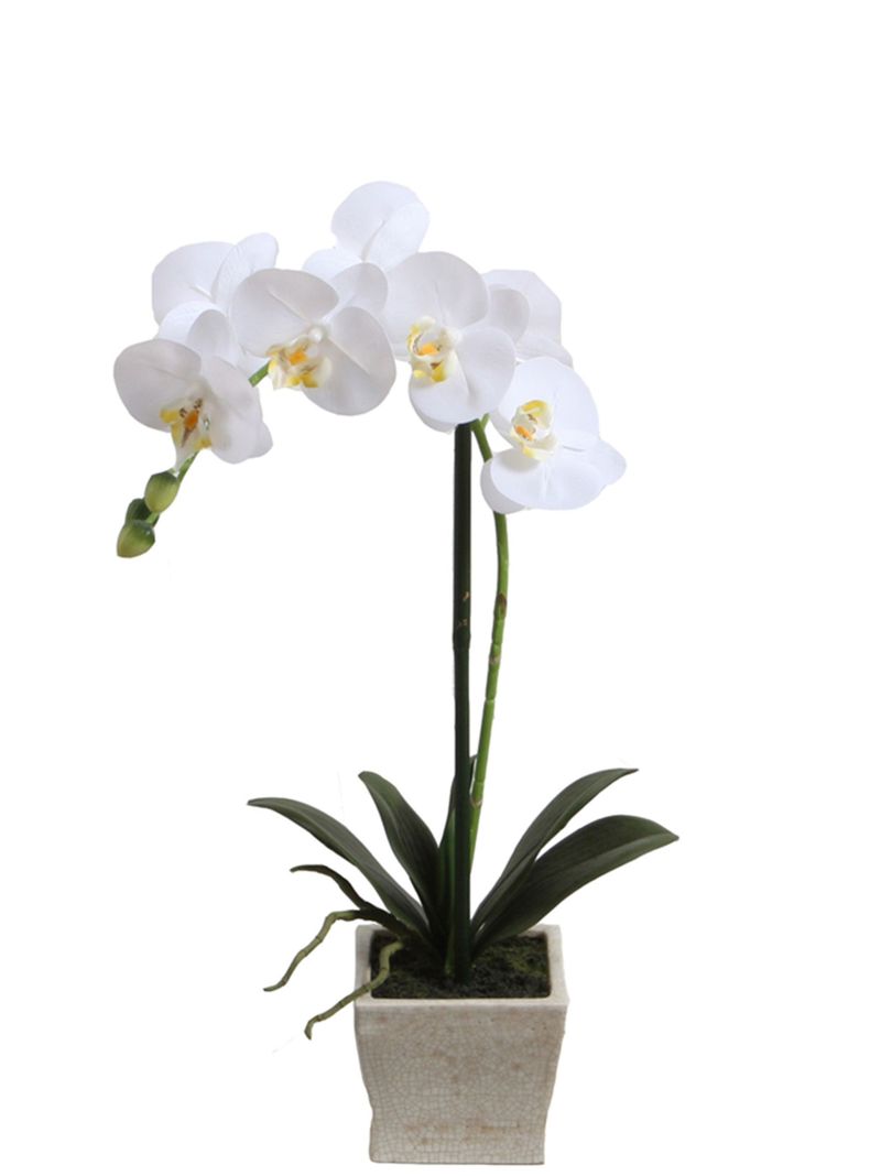 Orquídea blanca 51 cm en macetero-0