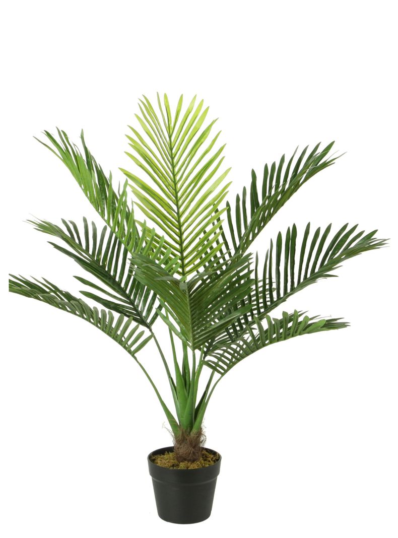 Palmera de 80 cm-0