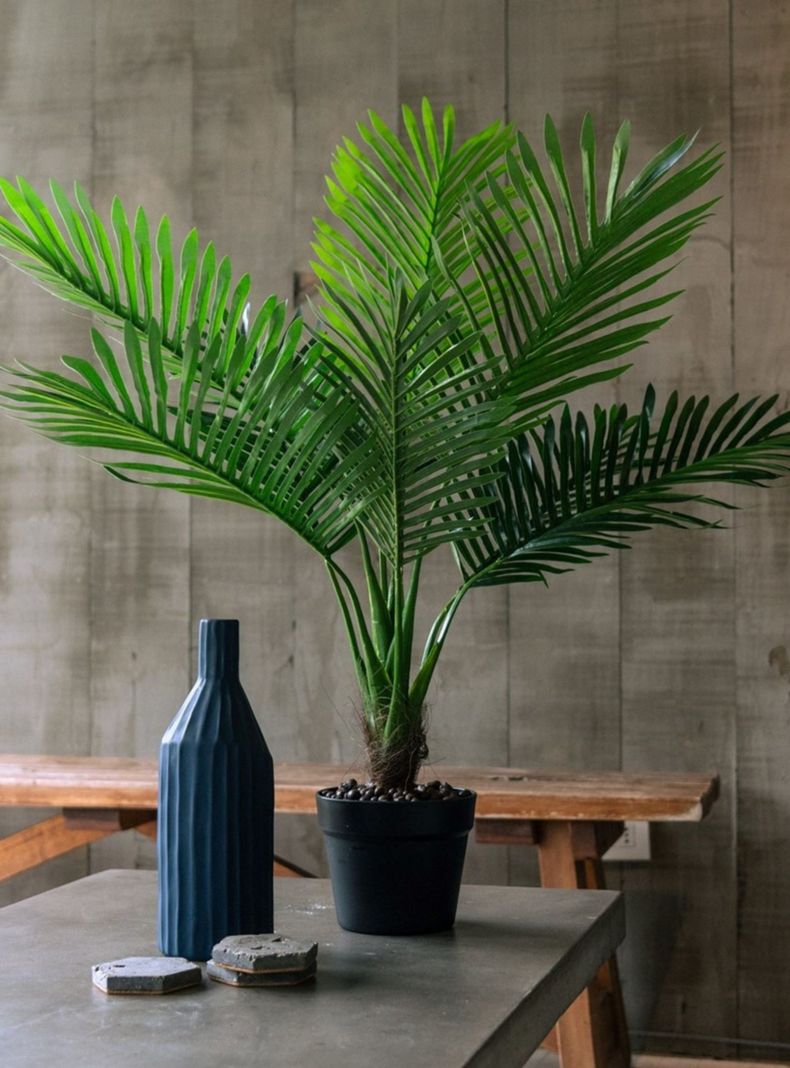 Palmera de 80 cm-1