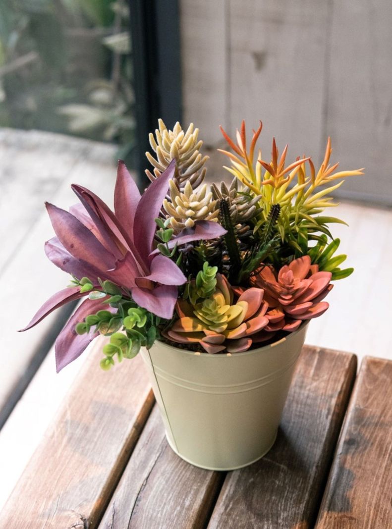 Suculentas 30 cm, con macetero-1