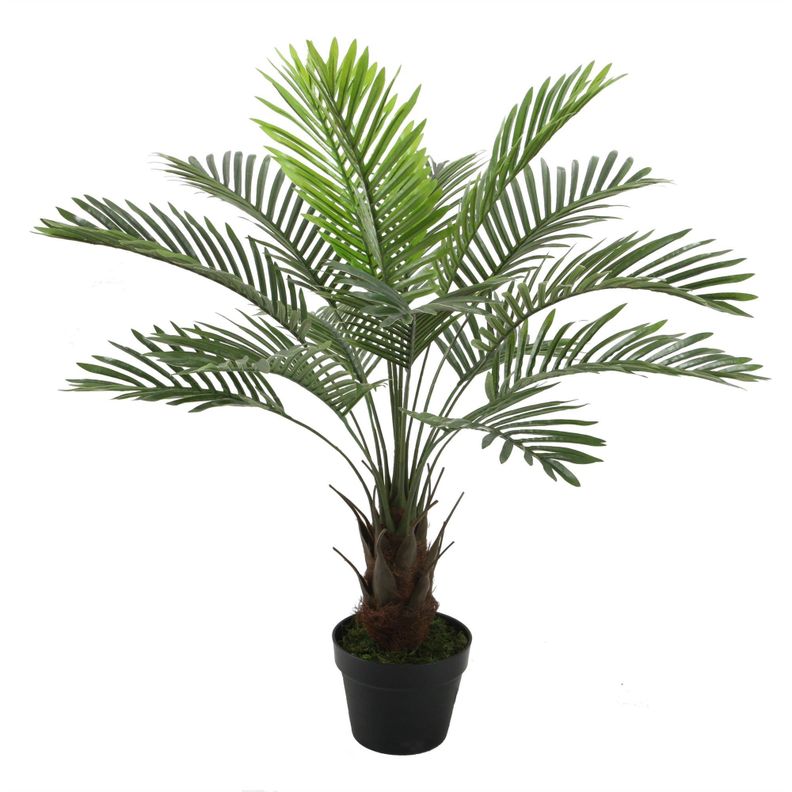 Palmera de 90 cm-0