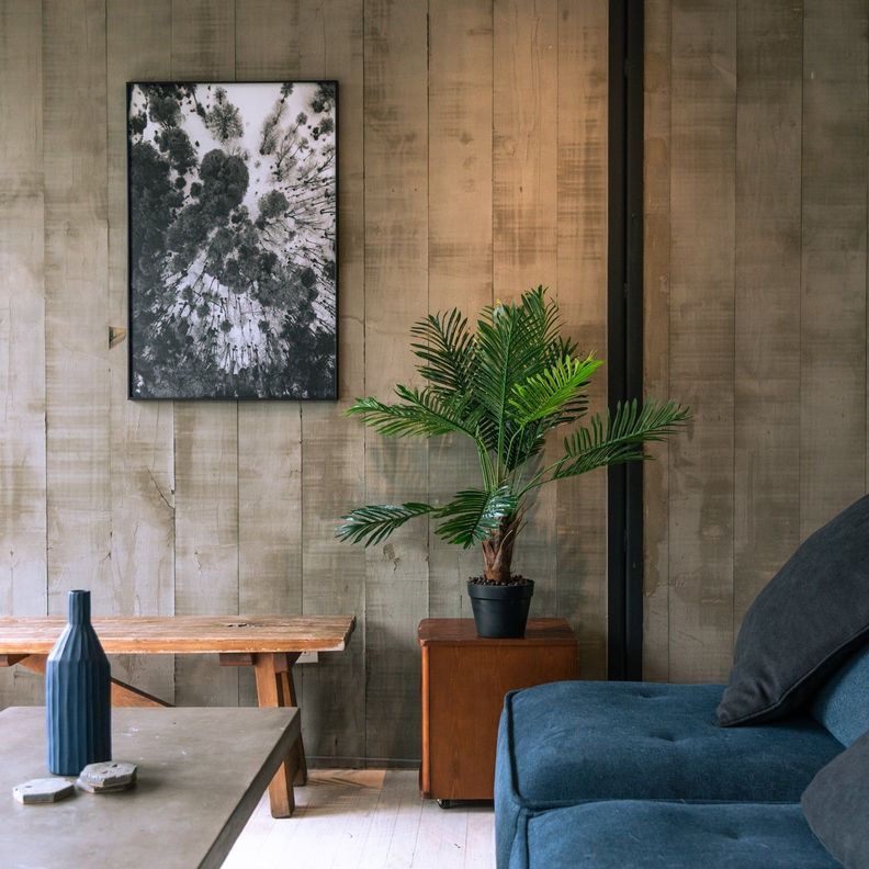 Palmera de 90 cm-1