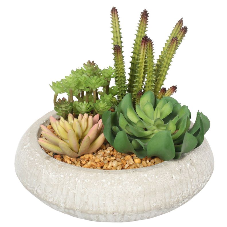 Suculentas de 17 cm con macetero-1