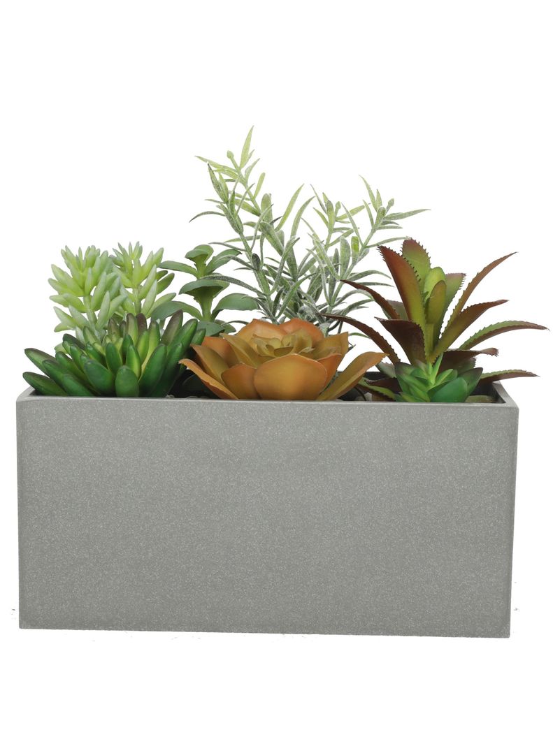 Suculentas 20 cm con macetero rectangular-0