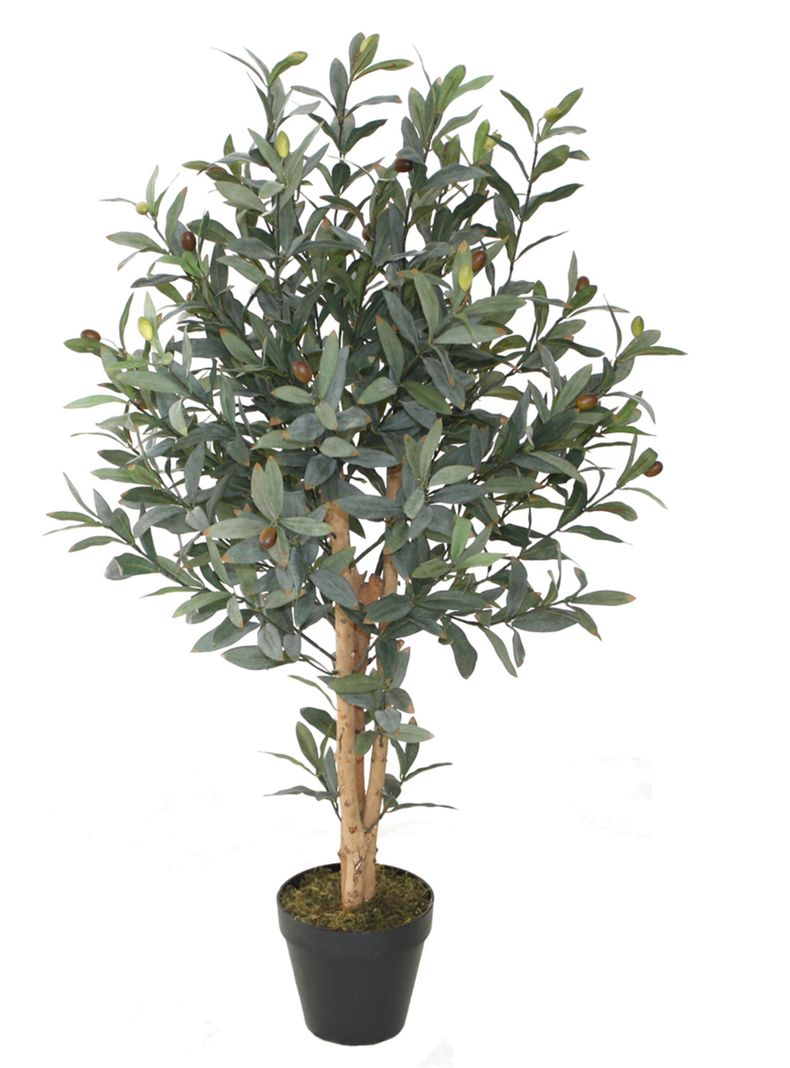 Arbol de Olivo de 90 cm , con tronco de madera.-0