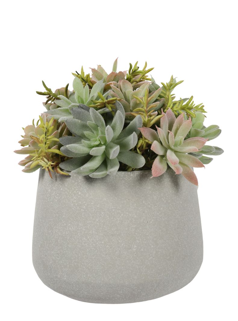 Suculenta Bonsai de 23 cm, con macetero de cemento-2
