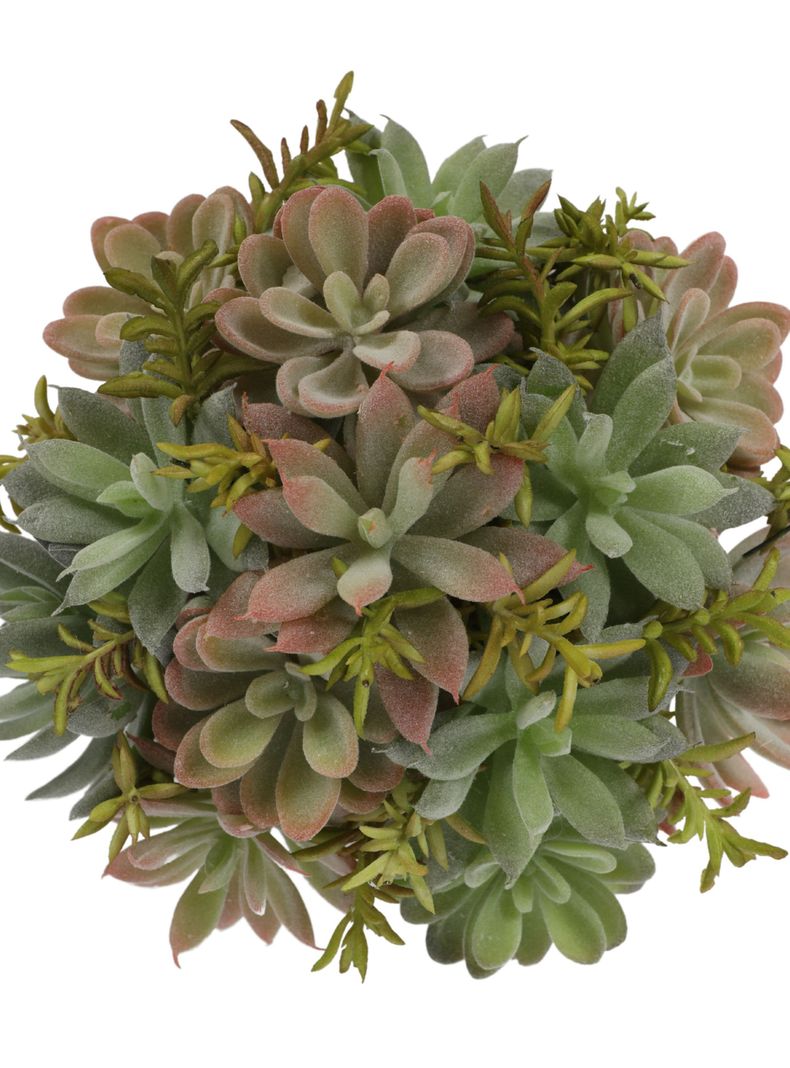 Suculenta Bonsai de 23 cm, con macetero de cemento-3