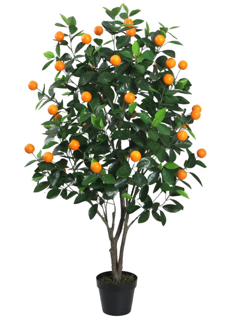 Arbol de Naranjo de 130 cm-0