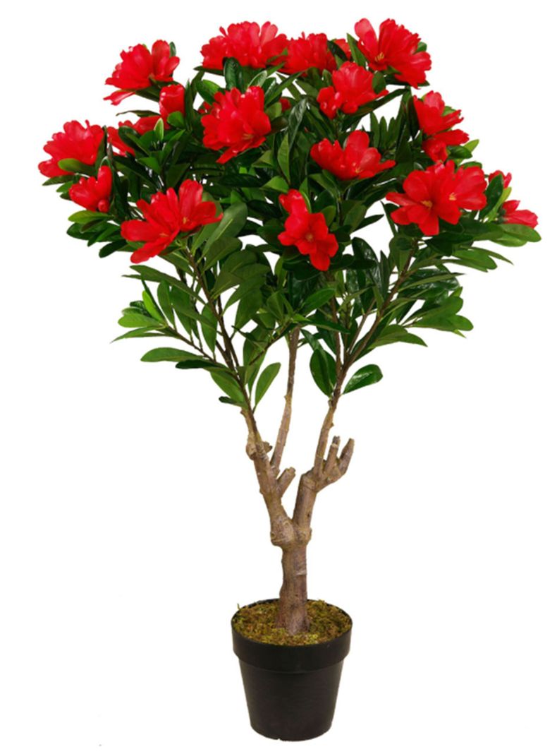 Arbol de Rododendro rojo de 120 cm-0