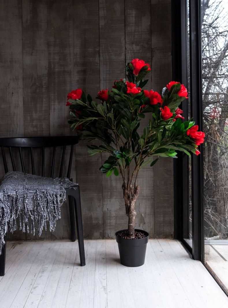 Arbol de Rododendro rojo de 120 cm-1