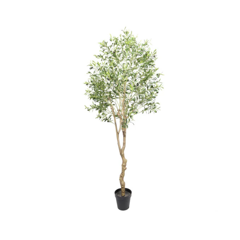 Árbol Artificial de Olivo de 210 cm con protección UV-1
