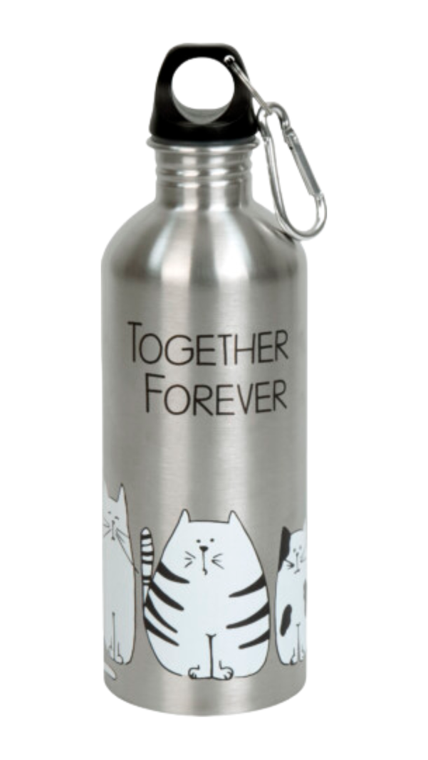 BOTELLA AGUA FRIA  FUNNY CATS-0