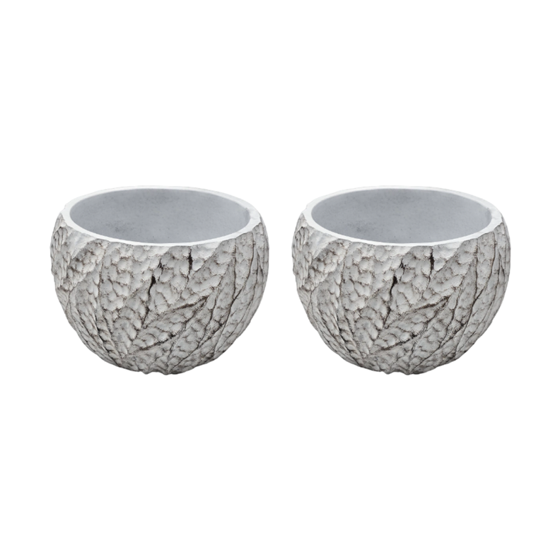 Set 2 Macetero Maceta Acabado Cemento Relieve Hojas Blanco M