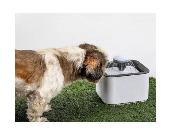Fuente De Agua Bebedero Para Gatos Y Perros De 2.5 Litros-1