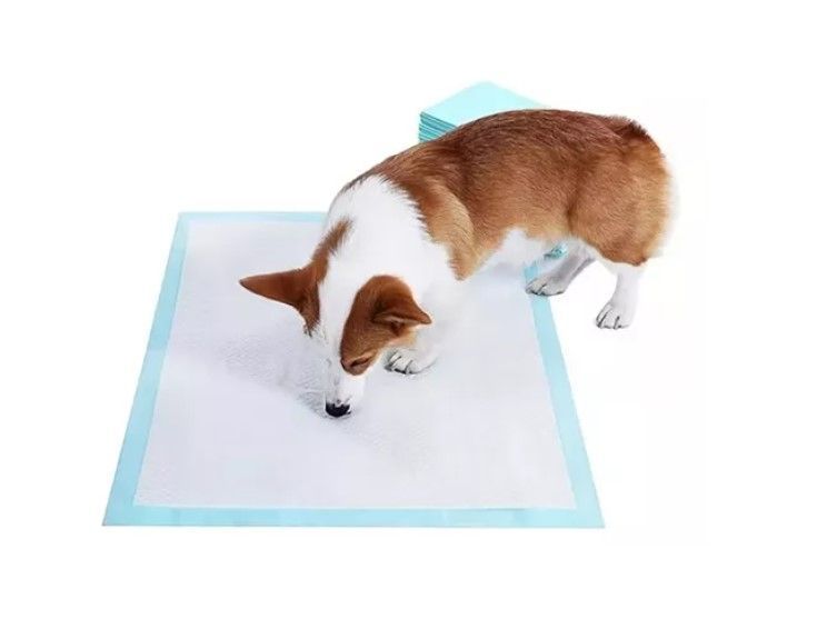 20 Pañales Tipo Sabanillas Mascotas Perros Y Gato 90x60 Cms-1