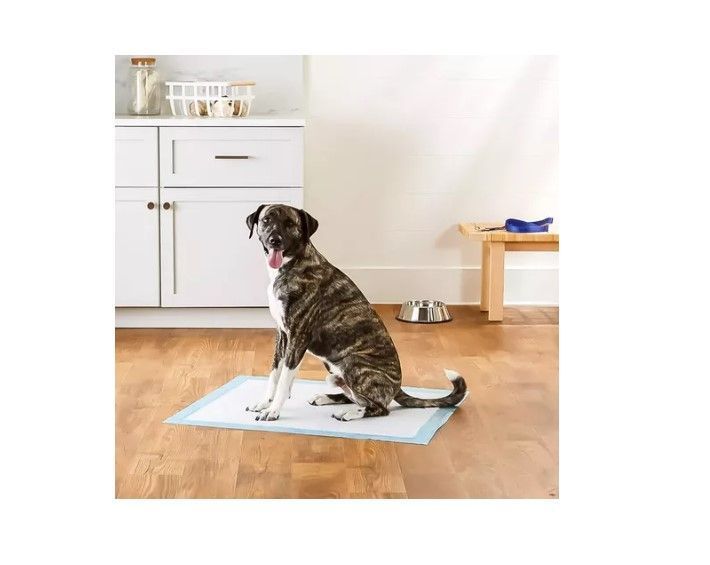 20 Pañales Tipo Sabanillas Mascotas Perros Y Gato 90x60 Cms-5