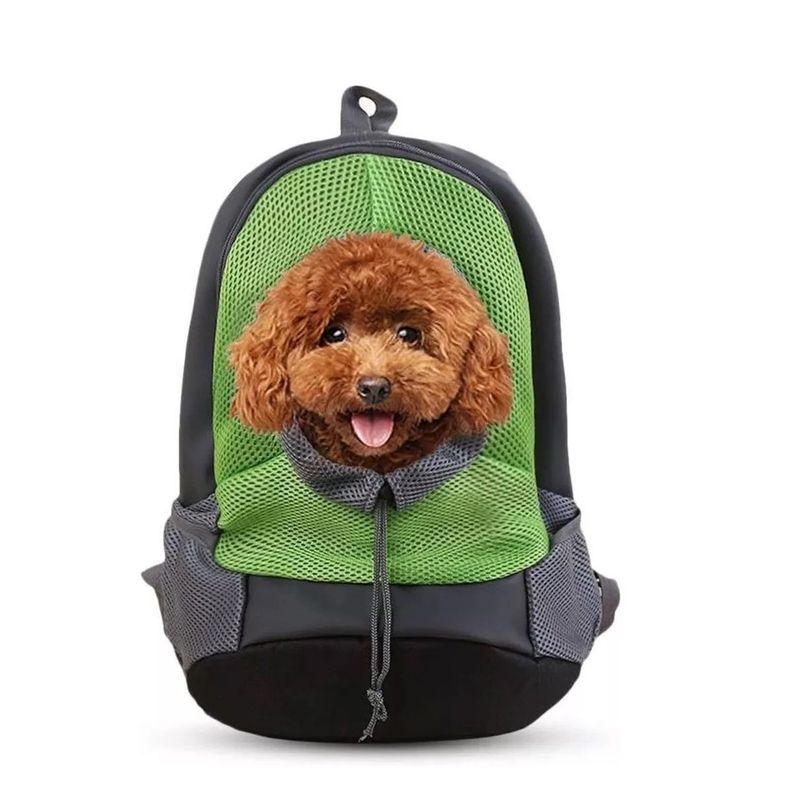 Bolsos Para Perros Verde